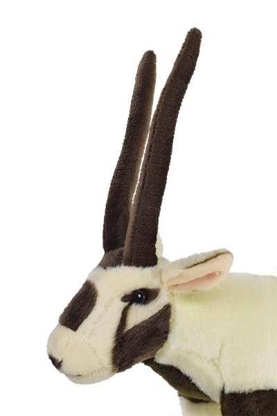 Oryxantilope